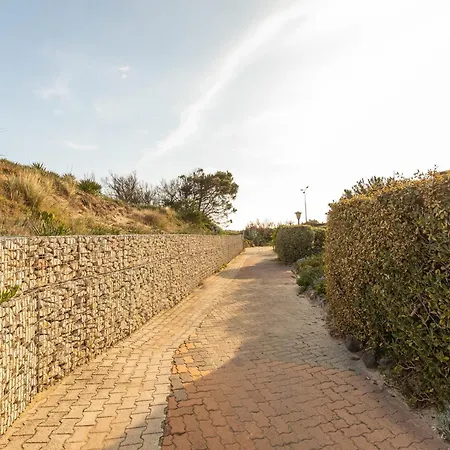 Soleil Levant Port Nature